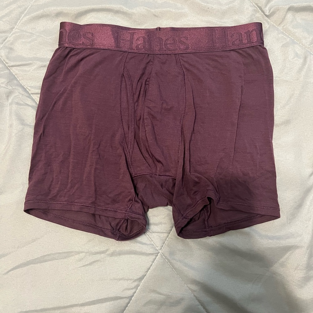 Hanes Men's  Boxer Briefs